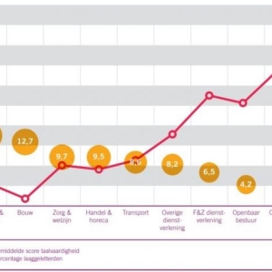 Afbeelding percentage laaggeletterden per arbeidsmarktsector